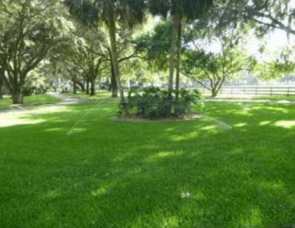 propiedades rurales francisco perez yoma