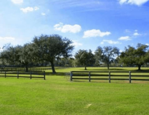 campo1 francisco perez yoma